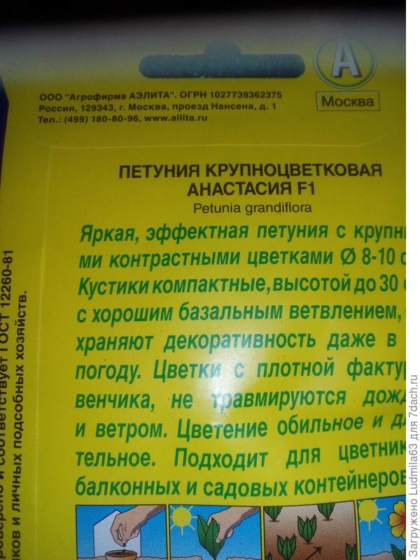 Семена от Аэлиты