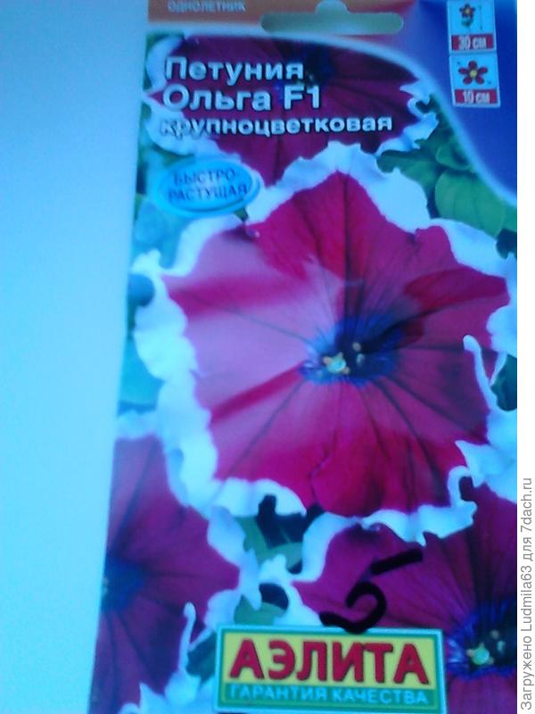 Семена от Аэлиты