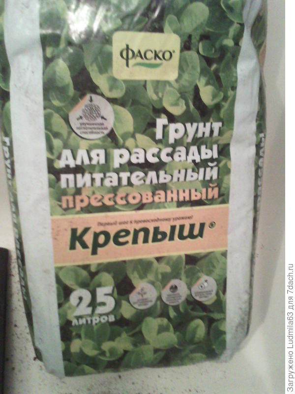 Грунт