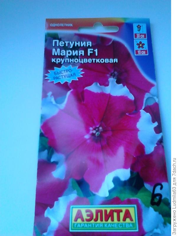Семена от Аэлиты