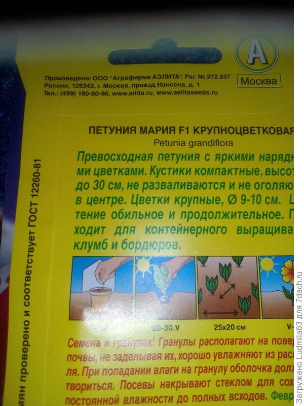 Семена от Аэлиты