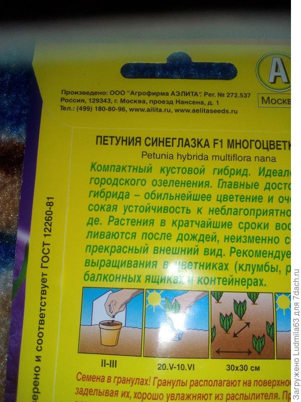 Семена от Аэлиты