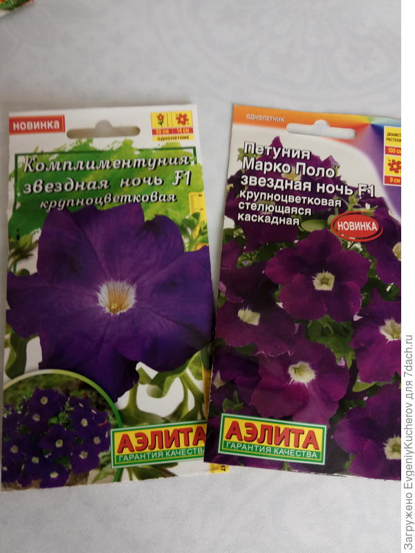 Одинаковое название. Интересно, а что ещё у них одинаковое?