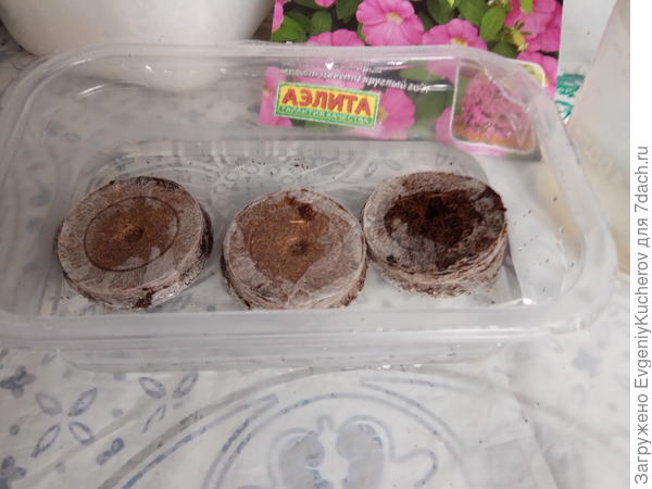 Заливаю водой.