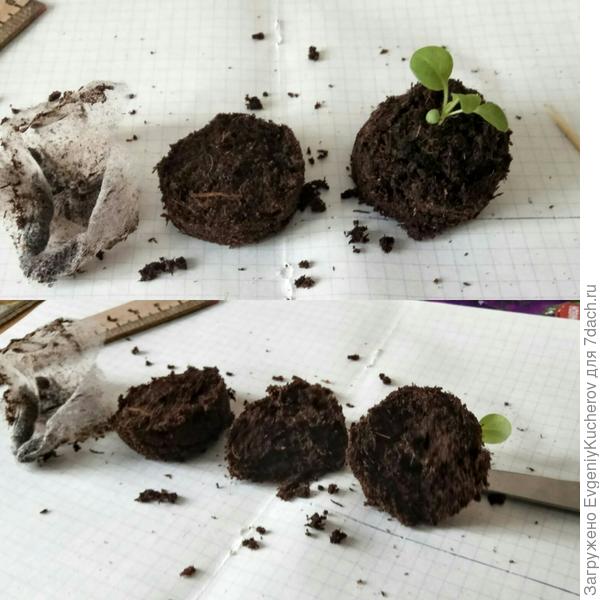 разрушаю таблетку