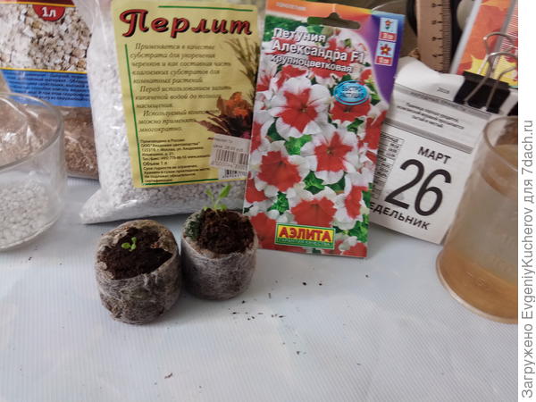 пикирование