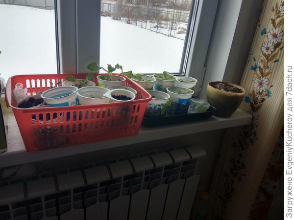 4 аперля