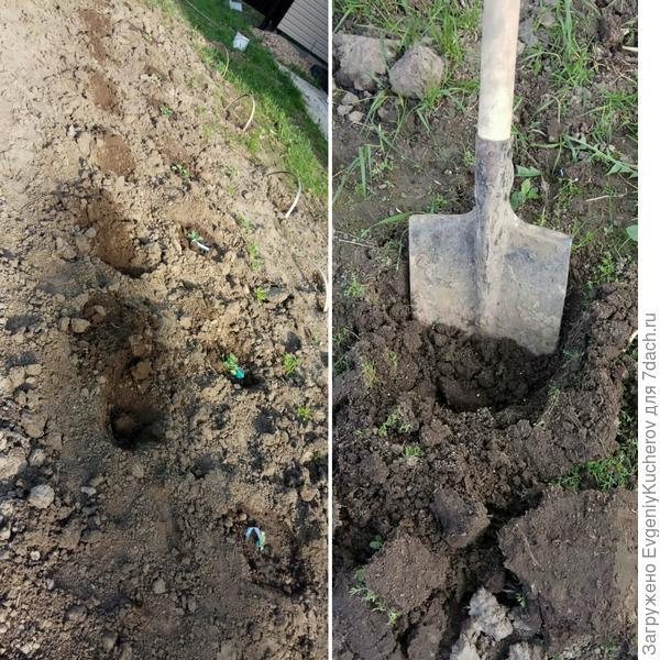 подготовка