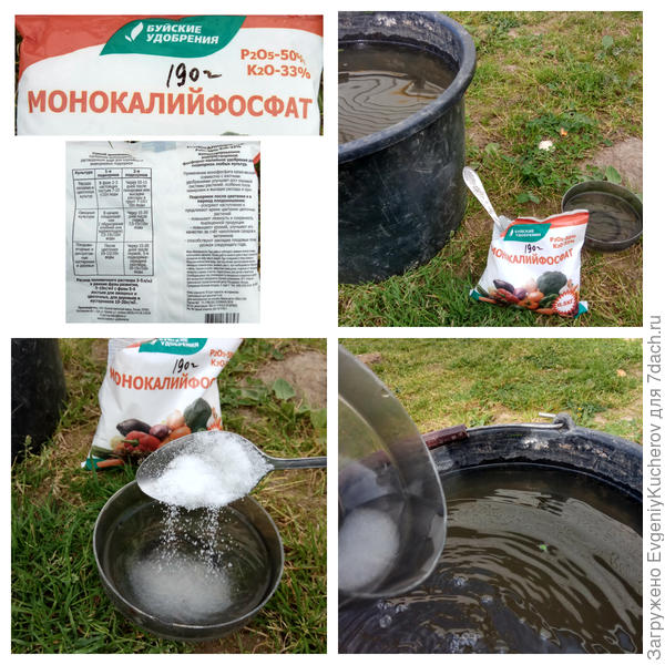 подкормка