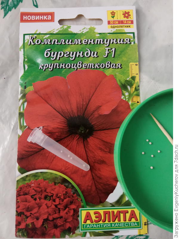 семена