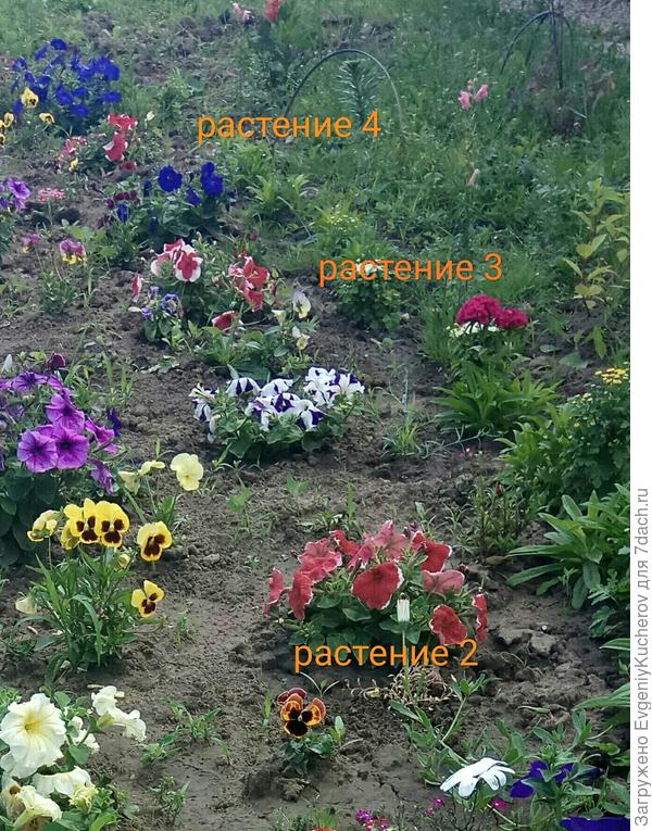 общий вид