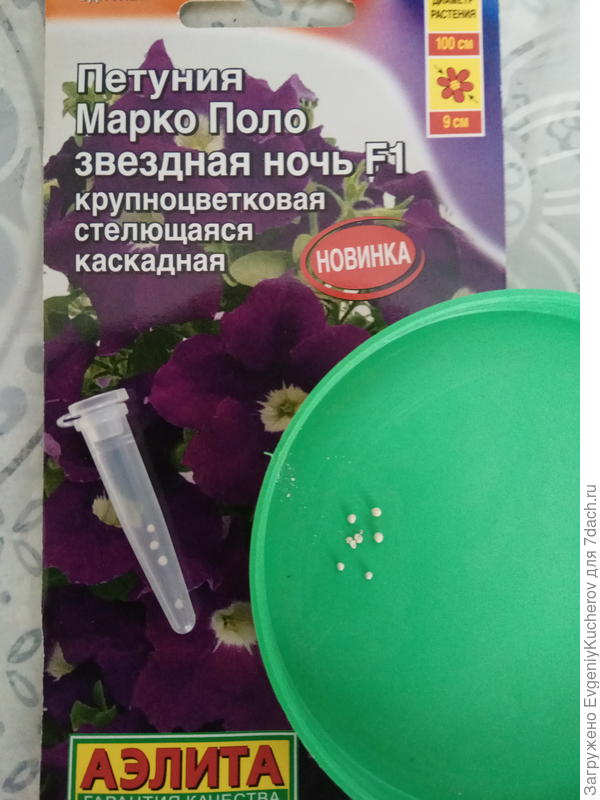 семена