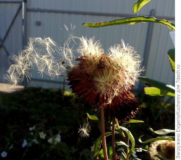 Отправляясь в путь - отправляются красиво)