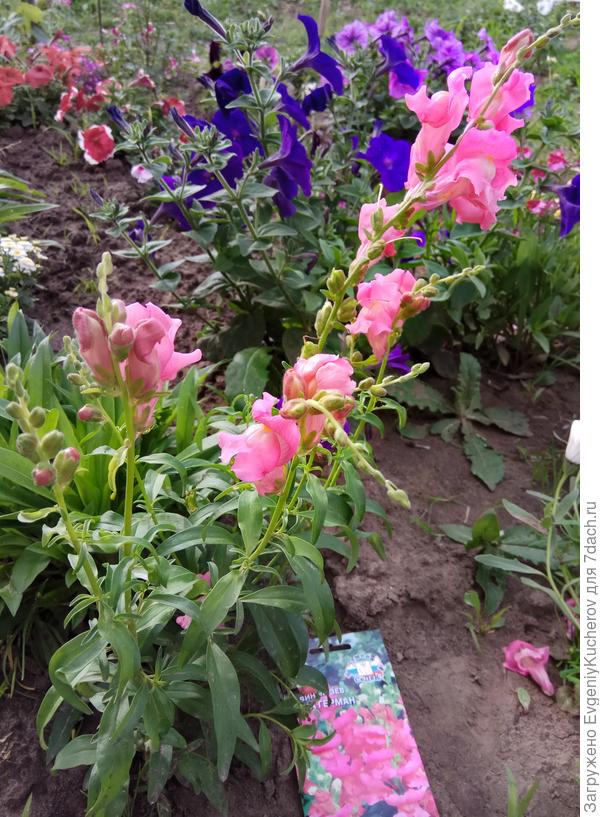 Мы творили красоту!)