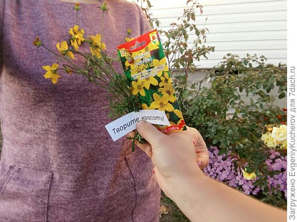 Такая красота нам понравилась!)