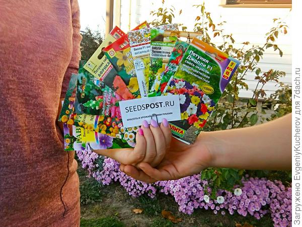 Небольшая часть семян, которые мы смогли осилить, т.е. посеять вовремя)