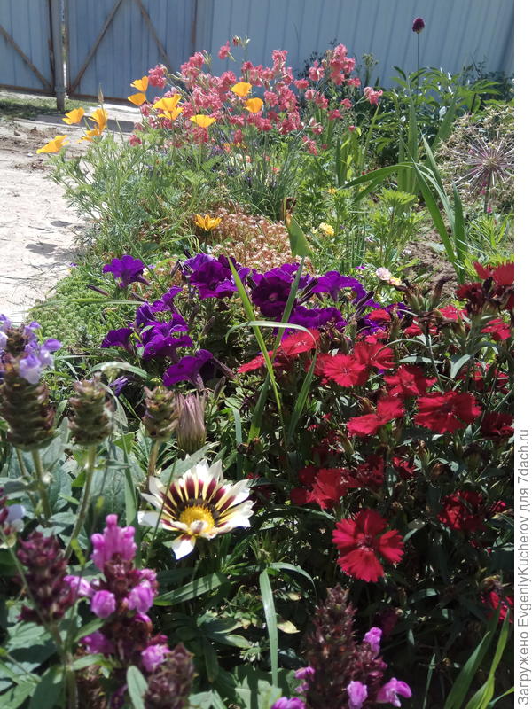 Мы творили красоту! Вы нашли на фото темно-синюю Джолли?)