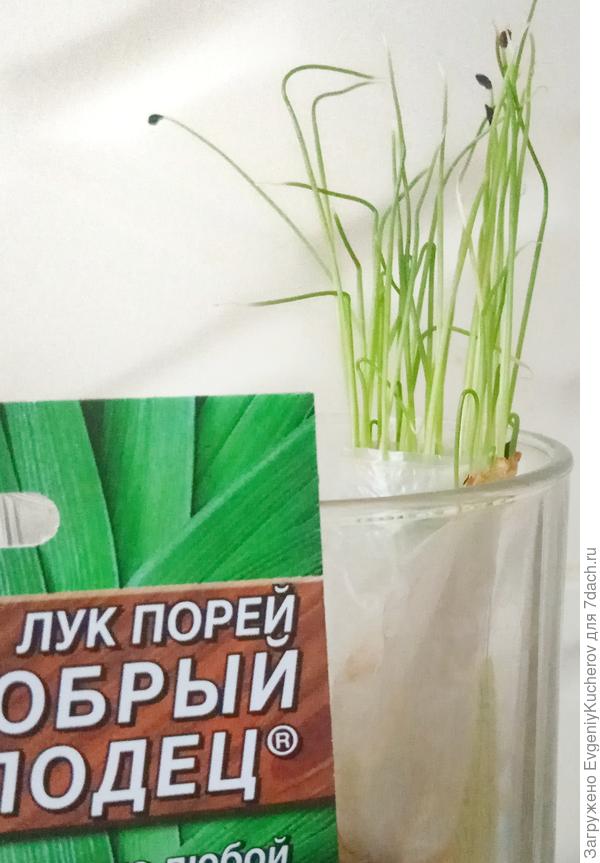 2 марта
