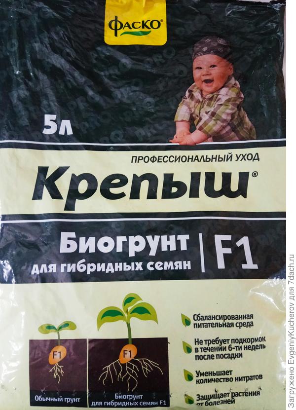 грунт