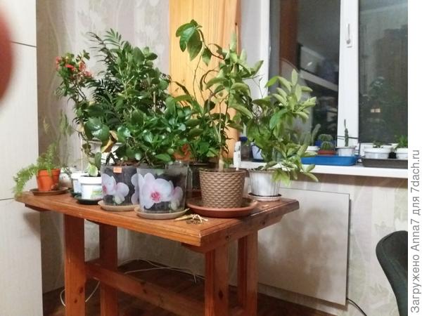 Вот все мои прелести ^^