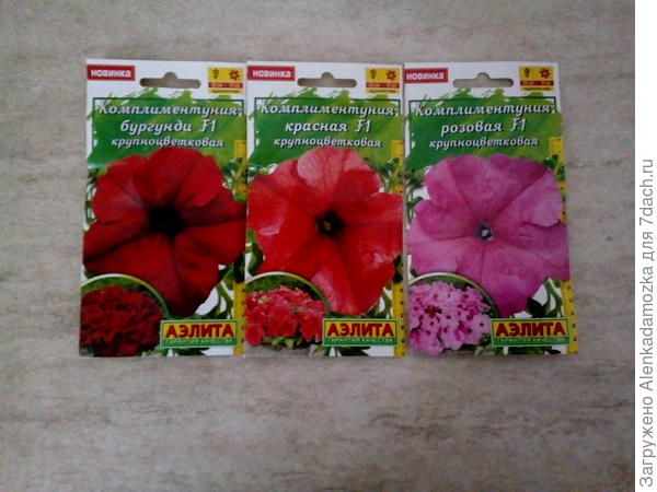 Семена петунии.