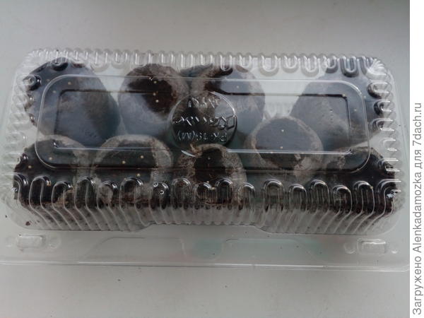 Расти будут при температуре 24° на южной стороне окна.Буду проверять влажность таблеток.