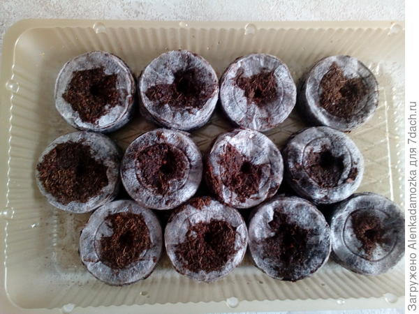 Залила тёплой водой и оставила так на 30 минут.