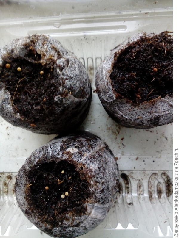 Таня,я сфоткала.Девочки,может скажите в чем причина  у меня.