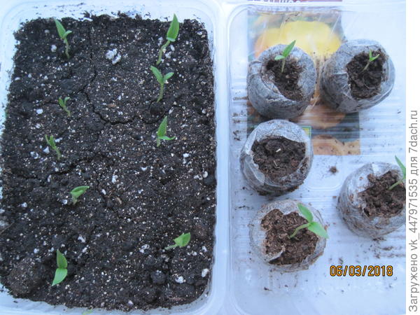 4 марта 2018 года