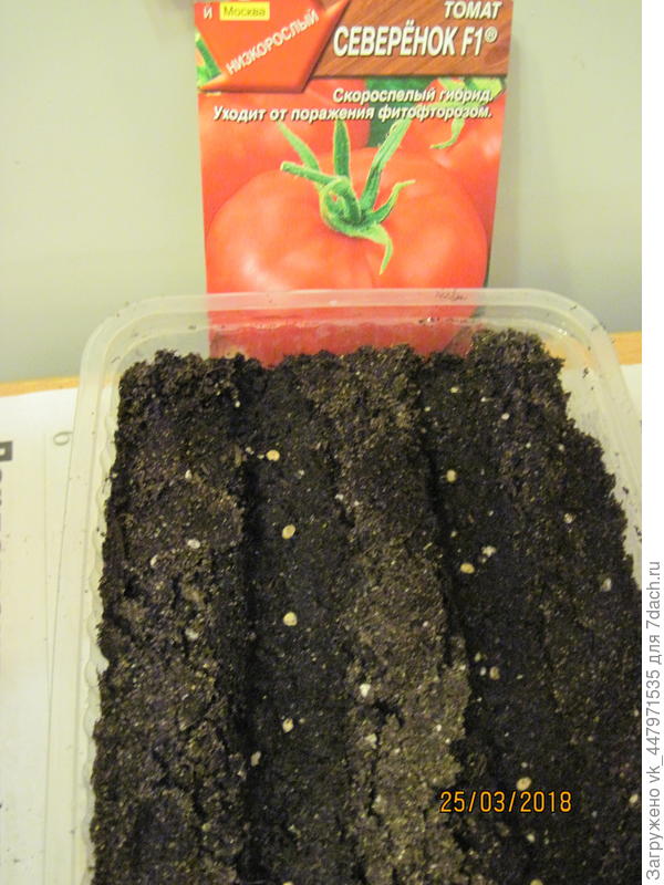 Семена в грунте