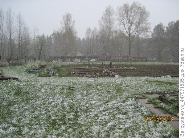 Первый день лета.
