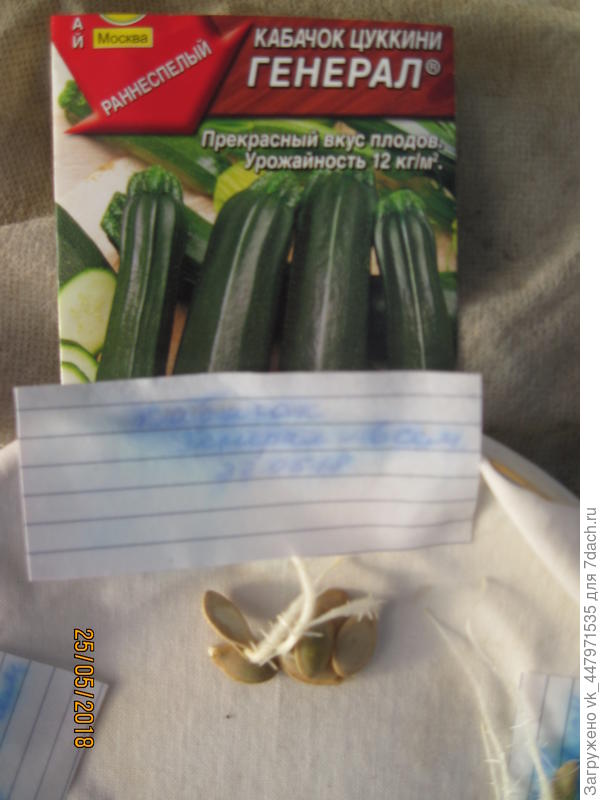 Первый корешки