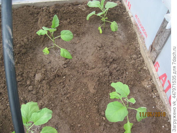 каждый на своем месте