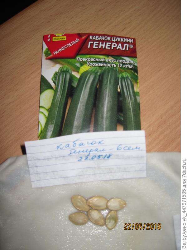 семена