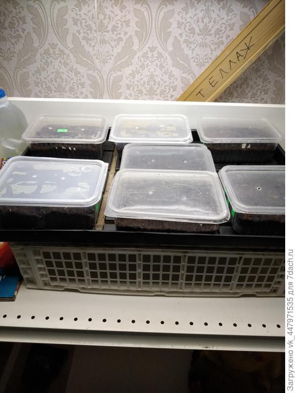 сезон открыт