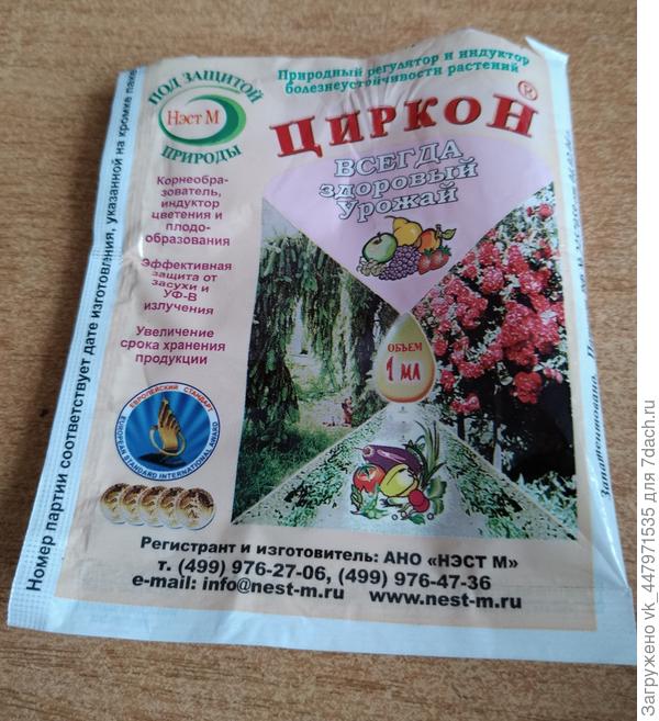 циркон