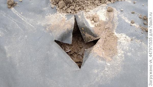 Подготовленные лунки