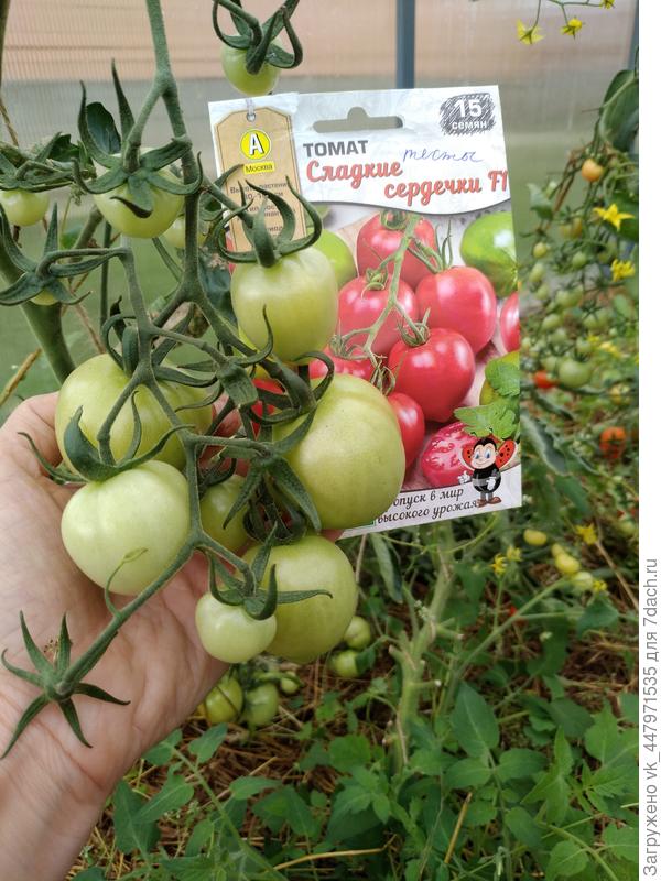 сладкие сердечки