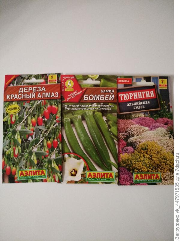 новинки