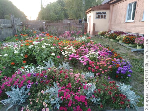 Палисадник