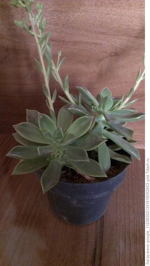 Пожалуйста вот эту тоже подскажите