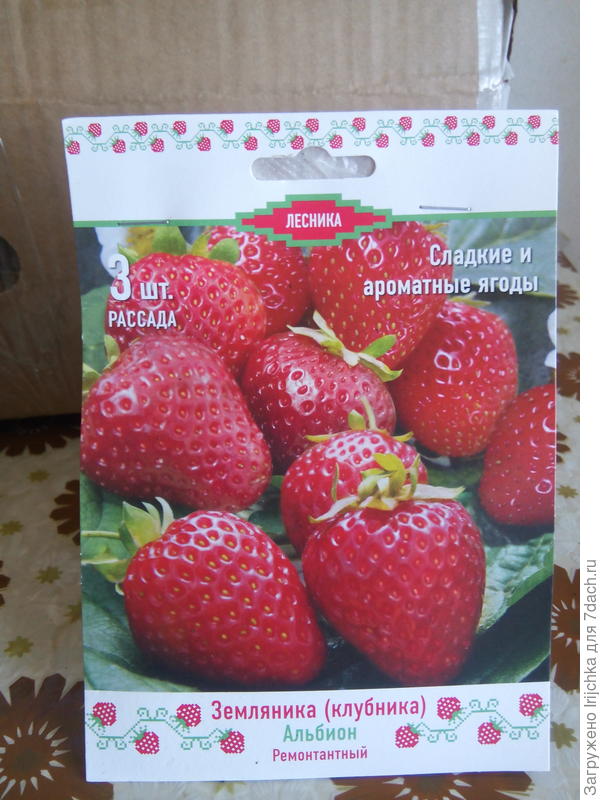 Земляника