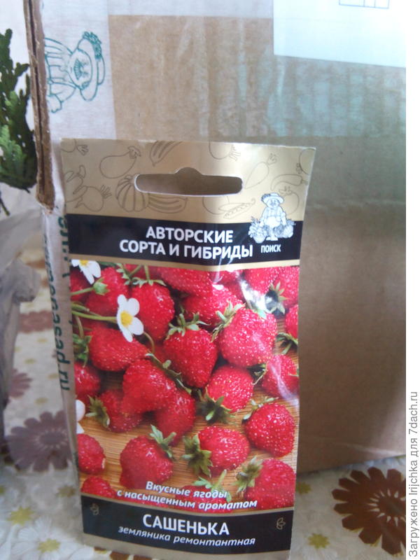 Земляника