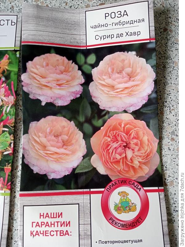 Коробочка в посылке