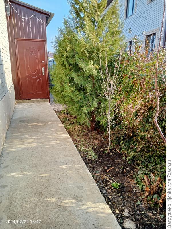 Наша веранда, сейчас там уже ждут посадки прибывшие из интернет-магазина растения