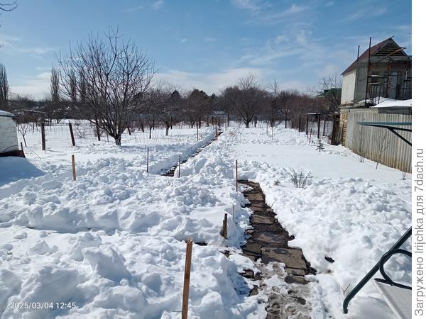 Начало марта