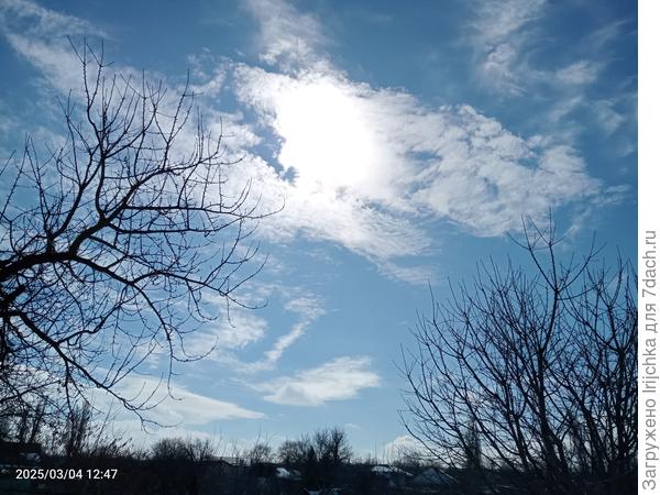 Небо здесь выглядит как-то по-особенному. Может, потому, что позади нет высоких домов и ничто не закрывает обзора).