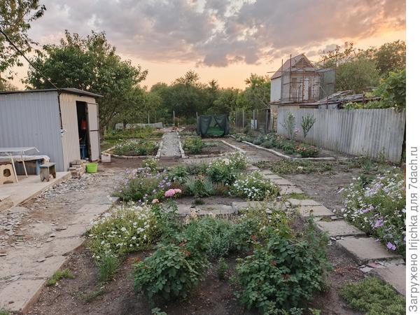 Вечер в саду