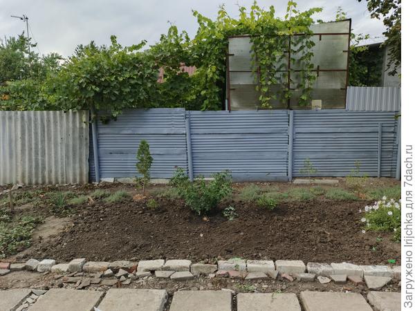 Нарастили частично забор вверх, и я его покрасила. Начала выравнивать клумбу под ним.