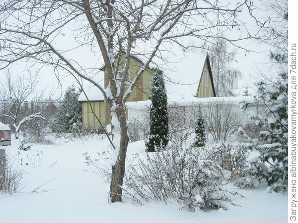 Наверное скучают без нас..... Я точно скучаю.....